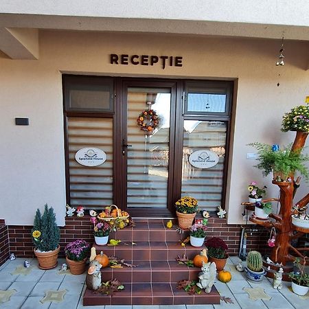 Splendid House Hotell Făgăraş Eksteriør bilde