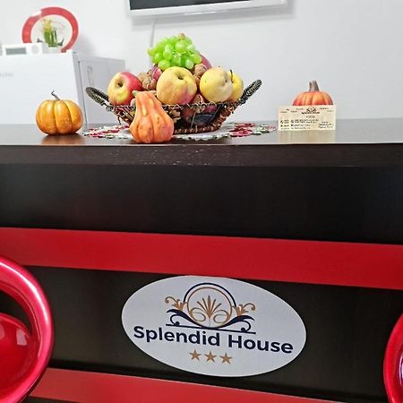 Splendid House Hotell Făgăraş Eksteriør bilde