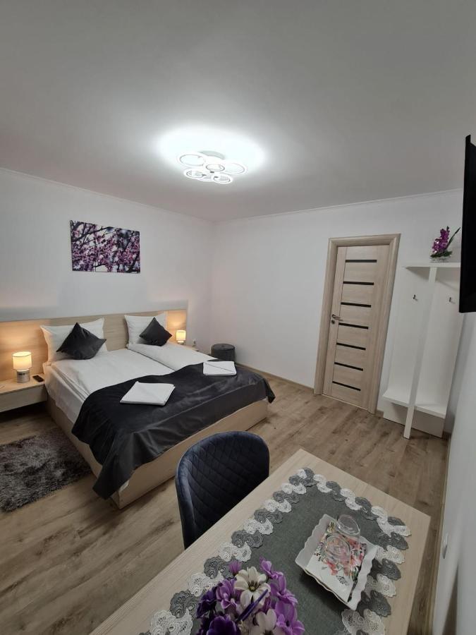 Splendid House Hotell Făgăraş Eksteriør bilde