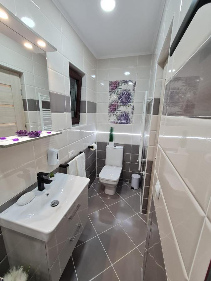 Splendid House Hotell Făgăraş Eksteriør bilde