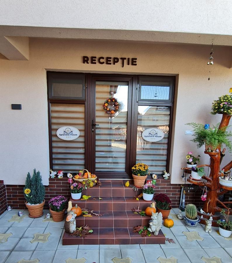 Splendid House Hotell Făgăraş Eksteriør bilde