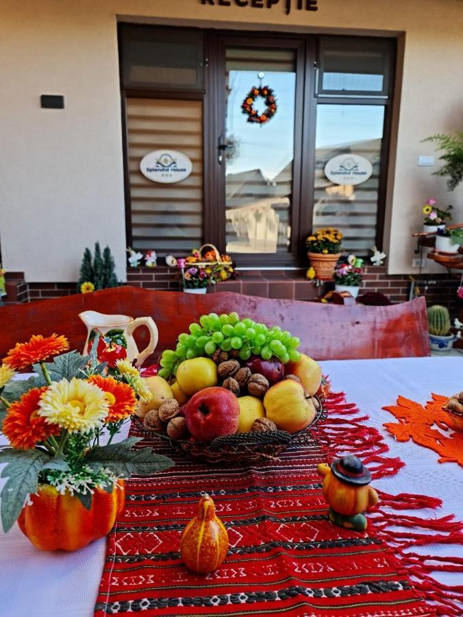 Splendid House Hotell Făgăraş Eksteriør bilde